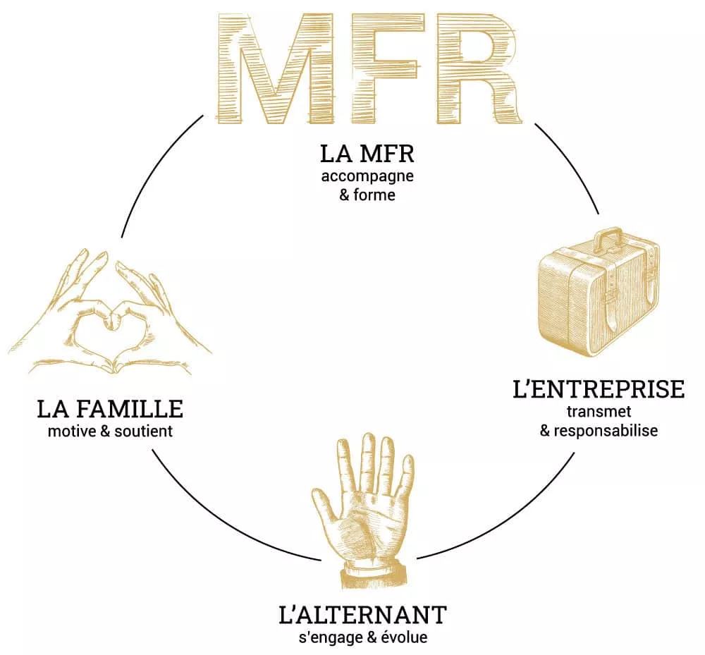 Schéma de l'alternance entre école et entreprise